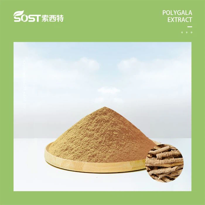 Polygonatum Powder