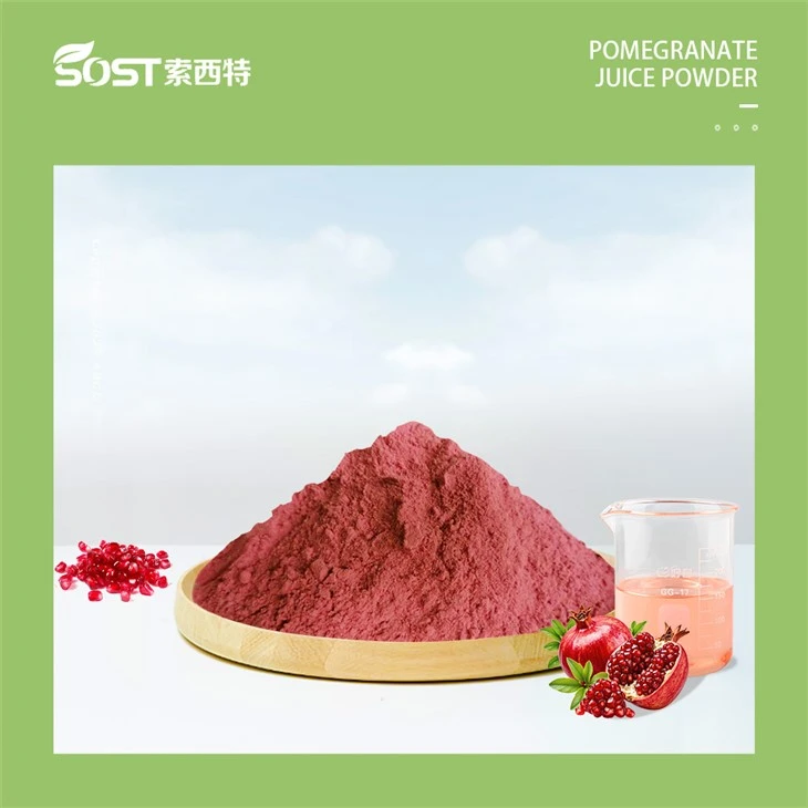 Best Pomegranate Juice Powder
