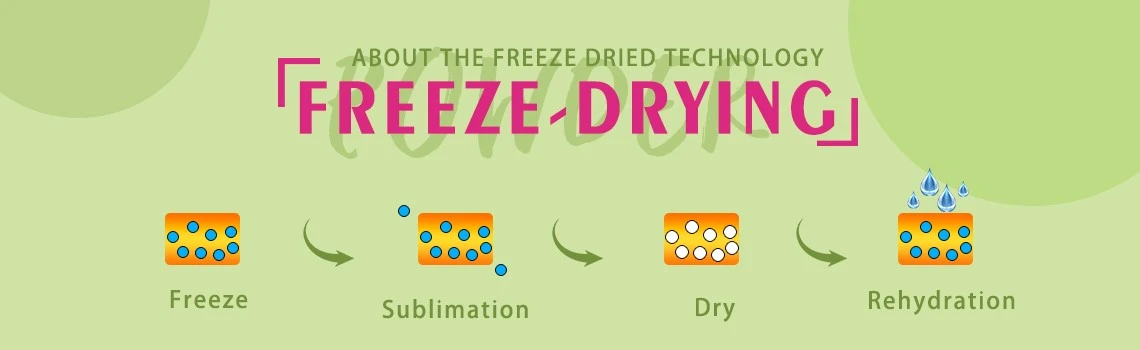 Freeze Dried Lemon Powder Freeze Dried Lemon Powder