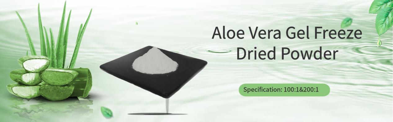 Aloe Vera Gel Freeze Dried Powder Aloe Vera Gel Freeze Dried Powder