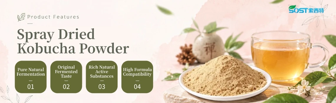 Dried Kombucha Powder1 Dried Kombucha Powder1