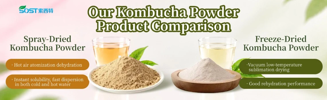 Dried Kombucha Powder2 Dried Kombucha Powder2