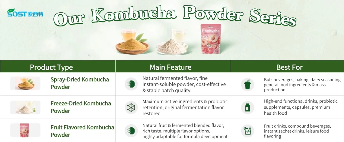 Dried Kombucha Powder4 Dried Kombucha Powder4
