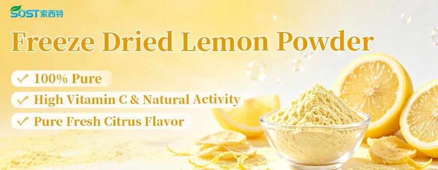 Freeze Dried Lemon Powder1 Freeze Dried Lemon Powder1