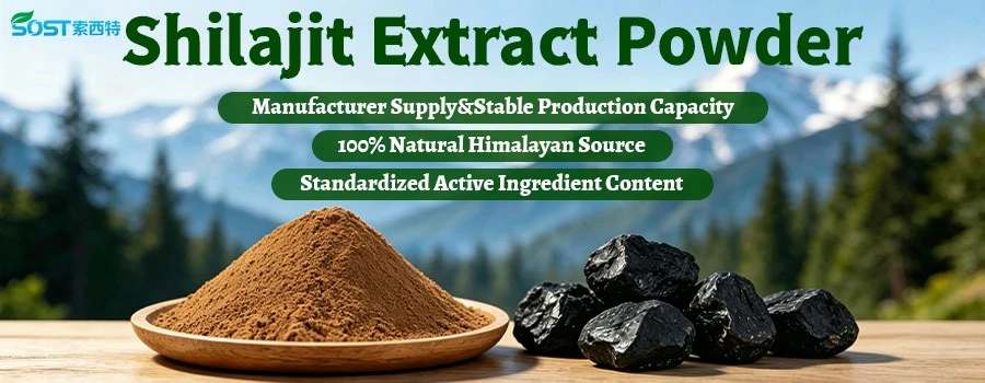 Shilajit Extract Powder1 Shilajit Extract Powder1