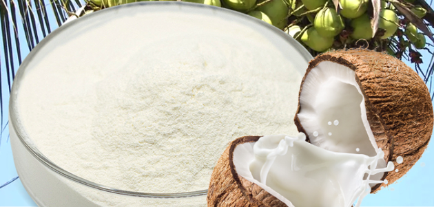Dried Coconut Milk Powder Dried Coconut Milk Powder
