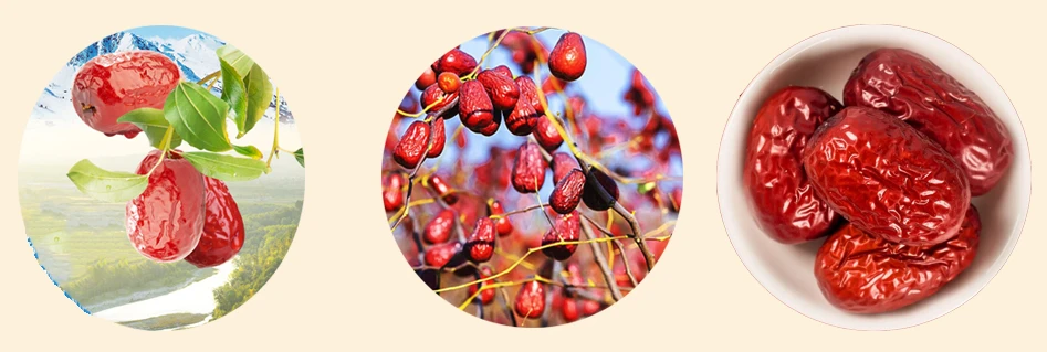 Wholesale Jujube Extract Powder Application Wholesale Jujube Extract Powder Application