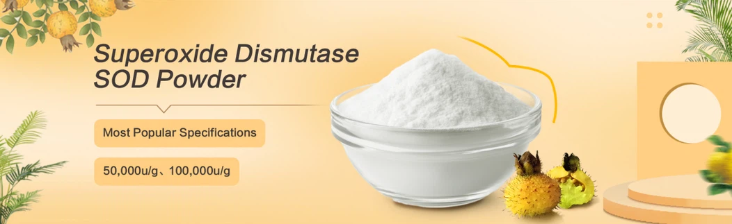 SOD Superoxide Dismutase powder SOD Superoxide Dismutase powder