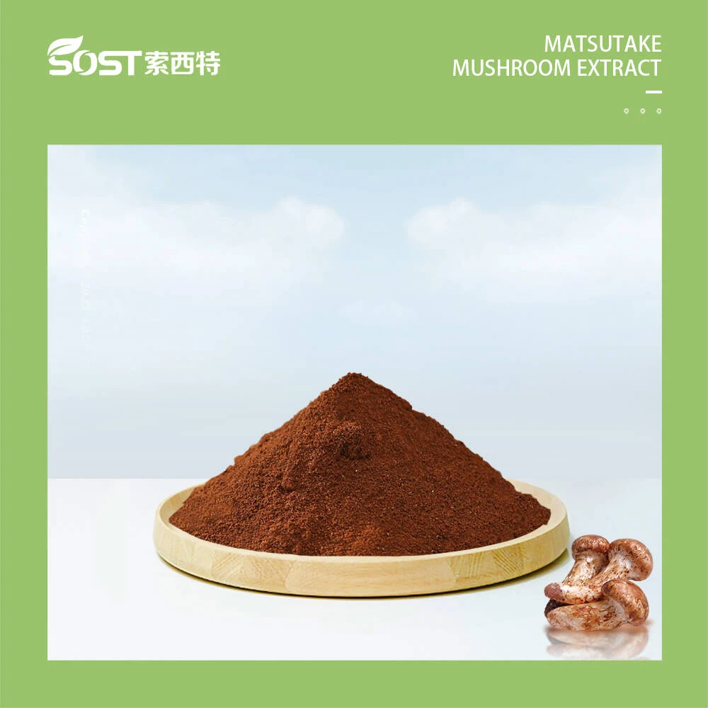 Matsutake Mushroom Extract Matsutake Mushroom Extract