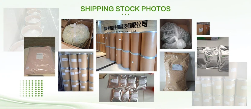 shippment shippment