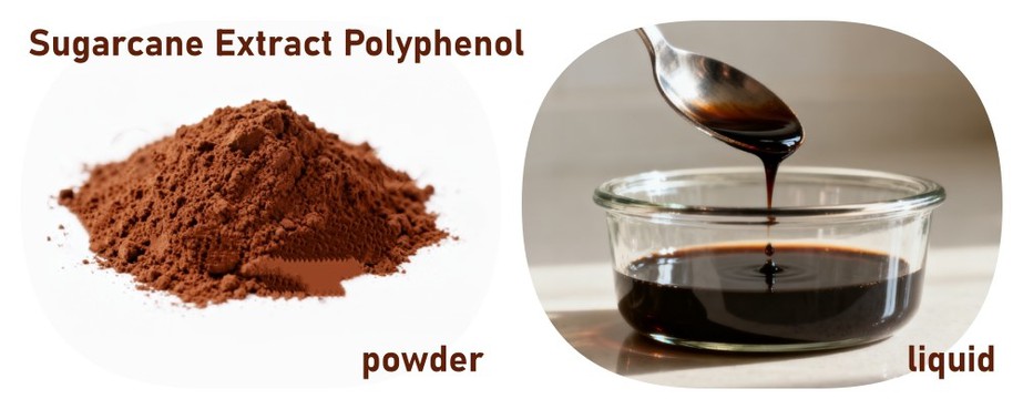 Sugarcane Extract Polyphenol factory Sugarcane Extract Polyphenol factory