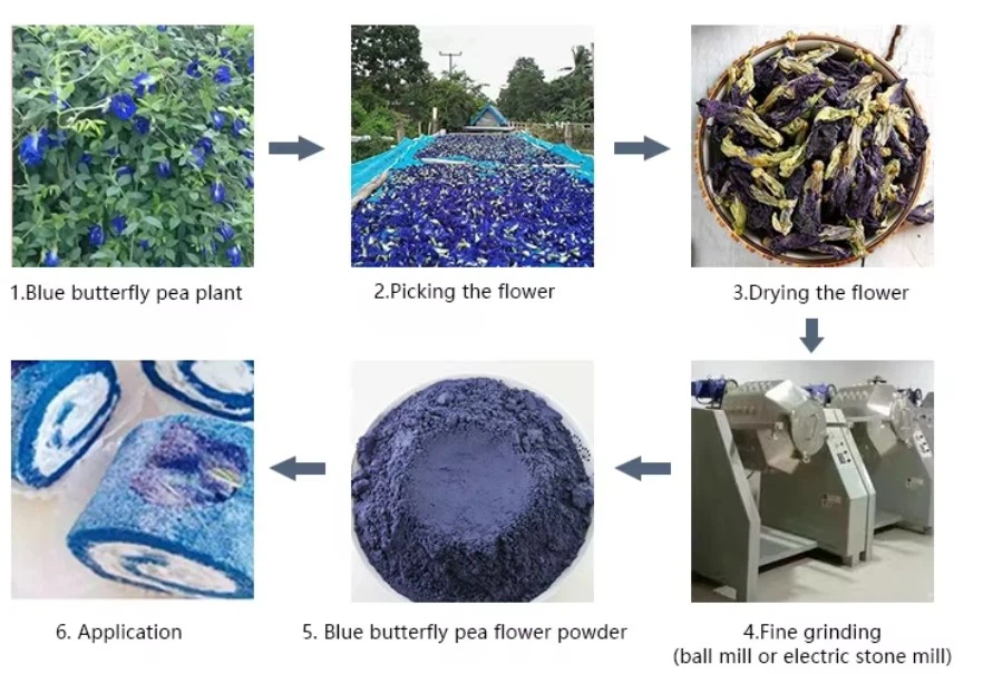 Blue Butterfly Pea Flower Powder factory flow chart Blue Butterfly Pea Flower Powder factory flow chart