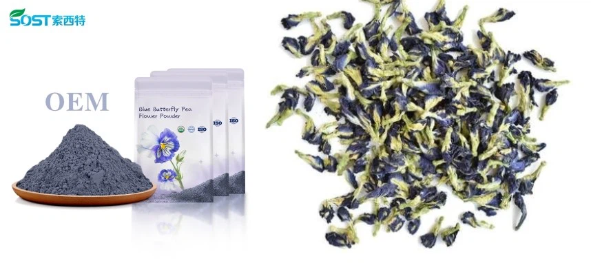 Blue Butterfly Pea Flower Extract Powder Blue Butterfly Pea Flower Extract Powder