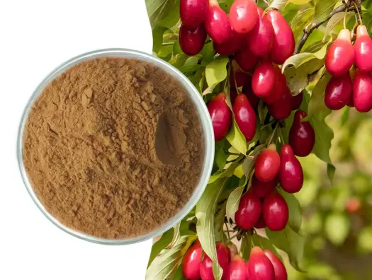 Cornus Officinalis Extract powder Cornus Officinalis Extract powder