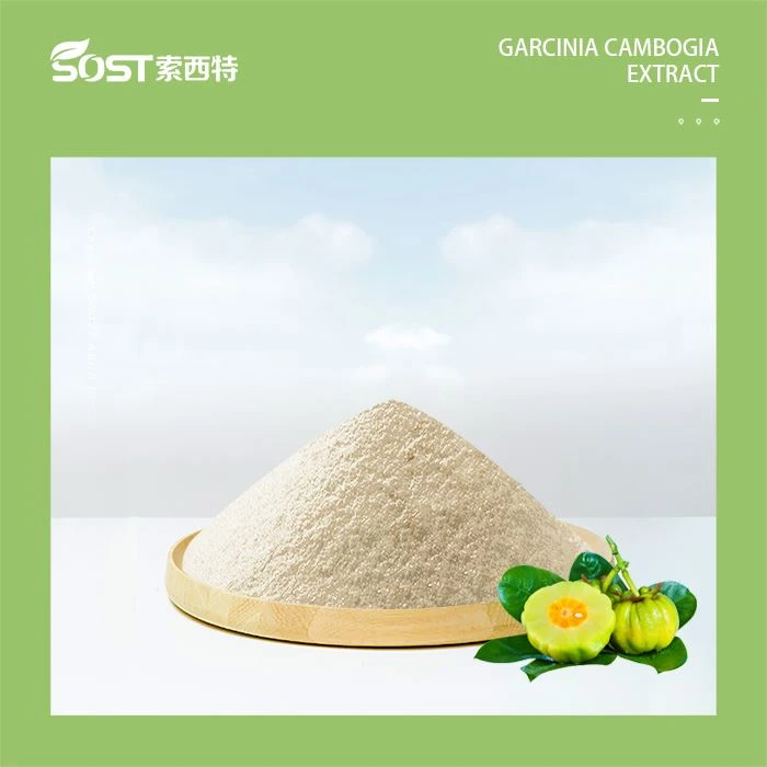 Pure Garcinia Cambogia Extract Review