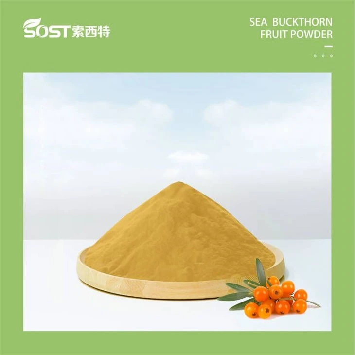 Sea Buckthorn Extract Powder