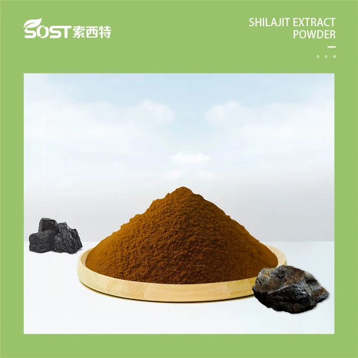 Shilajit extract powder