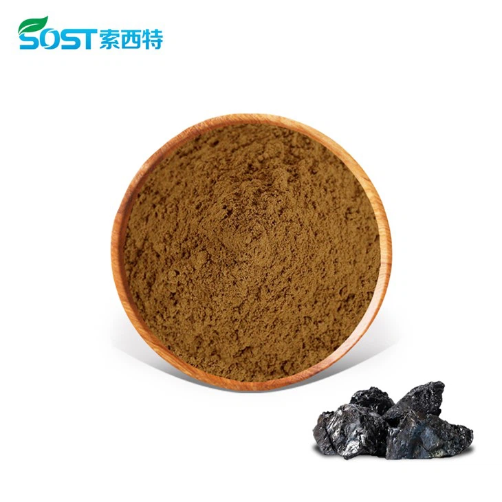Shilajit extract powder