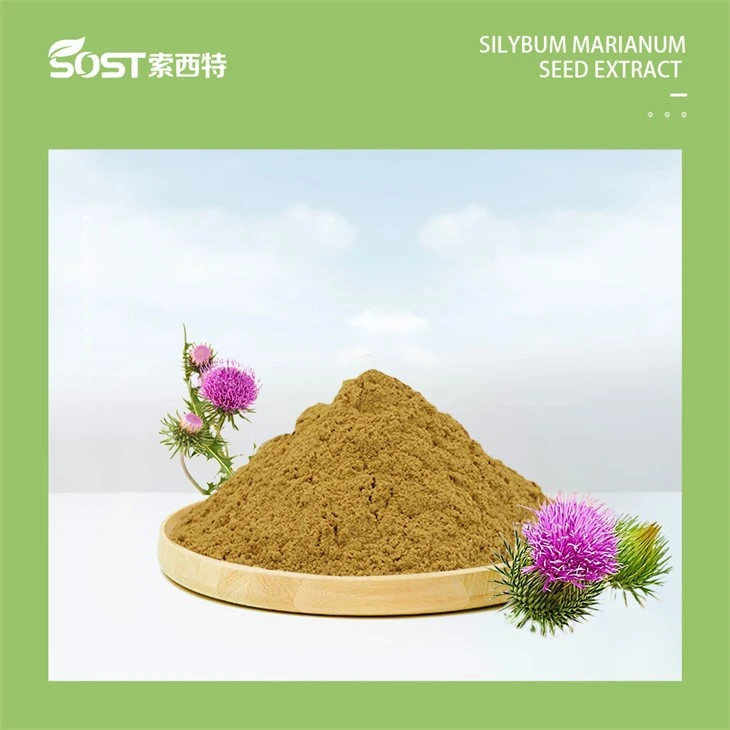 Silybum Marianum Seed Extract