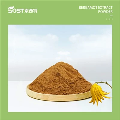 Bergamot Extract Powder