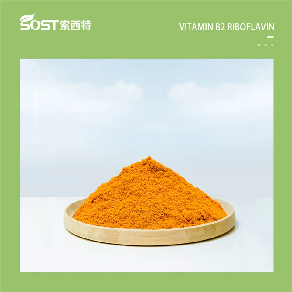 Vitamin B2 Riboflavin