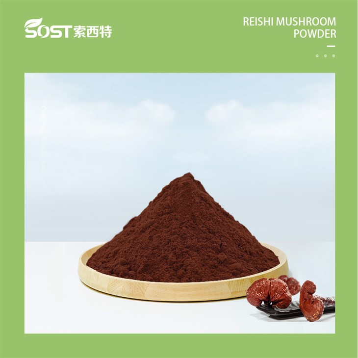 Wholesale Reishi Mushroom Powder