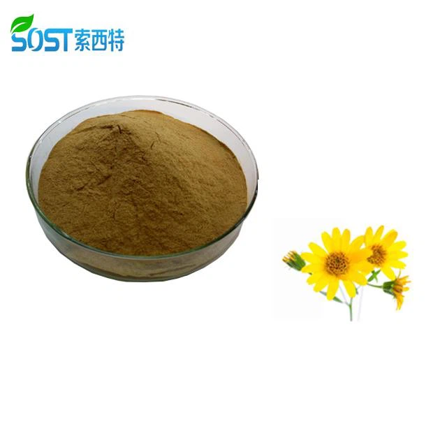 Arnica Montana Arnica Extract