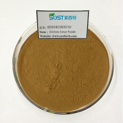 Artichoke Extract Powder
