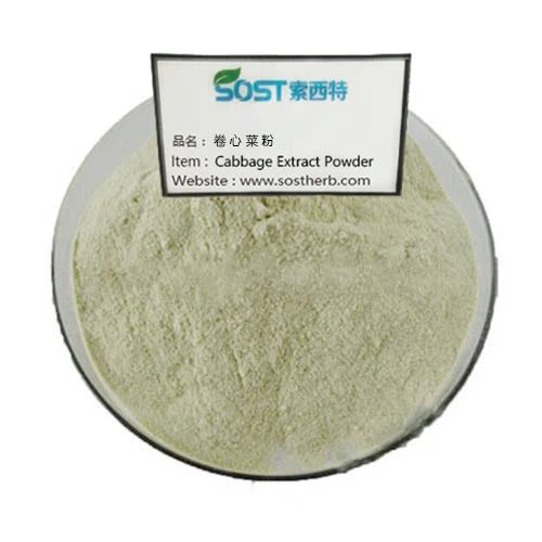 Cabbage Extract Powder