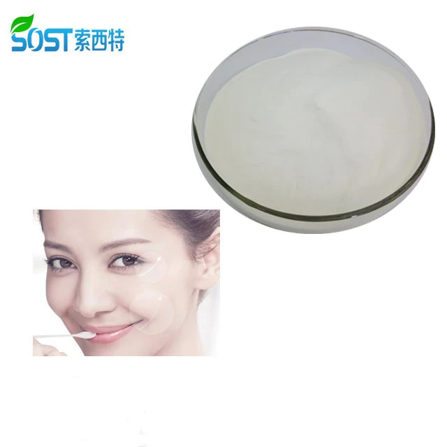 Hydrolyzed Bovine Collagen Powder