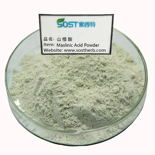 Maslinic Acid
