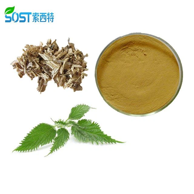 Nettle Extract Powder