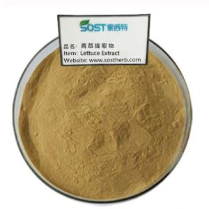 Wild Lettuce Extract