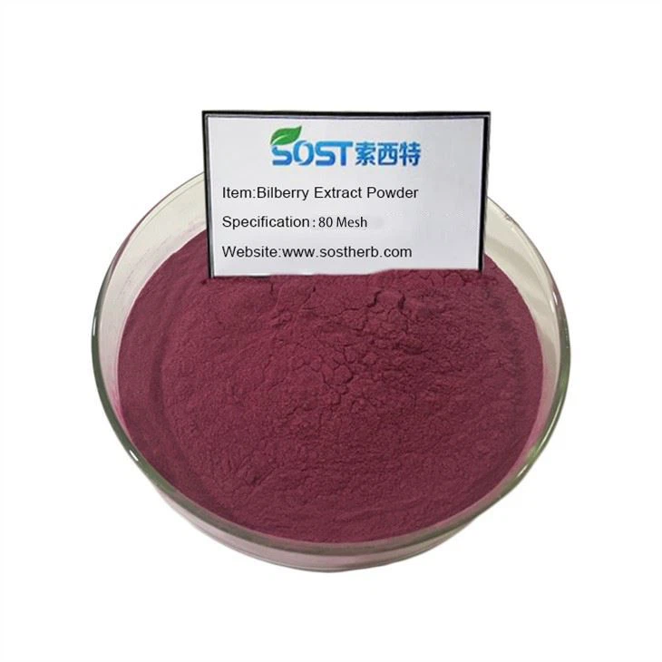 Bilberry Extract Powder