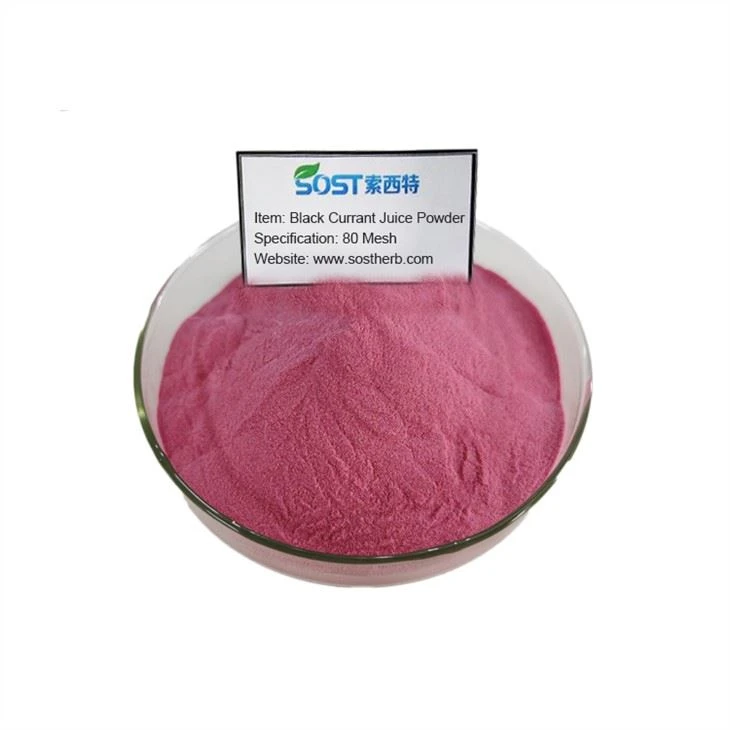 Black Currant Juice Powder