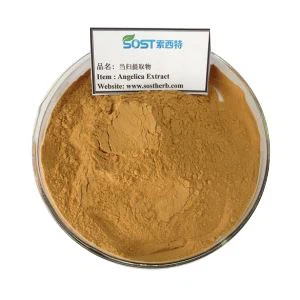Angelica Extract Powder