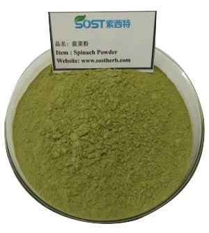 Freeze Dried Spinach Extract Powder
