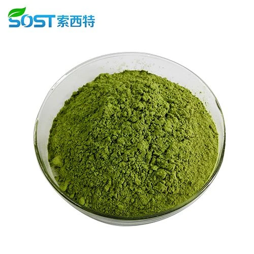 SOST Factory Supply Pure Natural Moringa Oleifera Moringa Powder