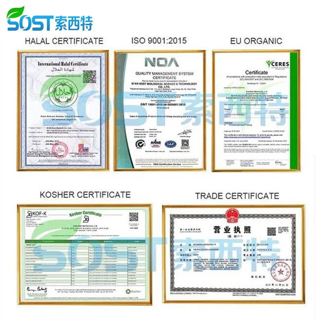 Calcium Oxide Powder