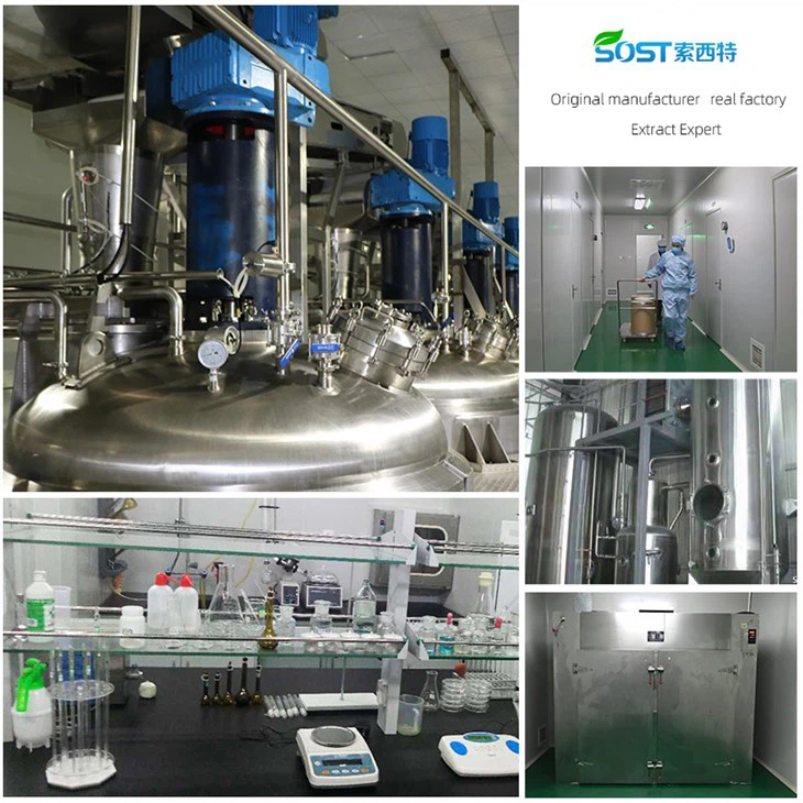 Ethyl Ascorbic Acid Powder