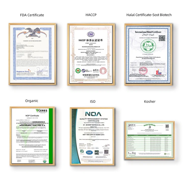 Instant Coconut Cream Powder