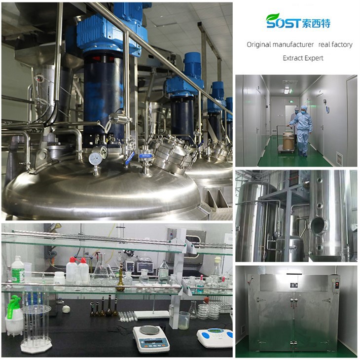 Passion Fruit Extract Powder