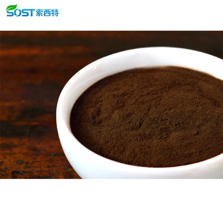 Organic Red Reishi Mushroom Powder