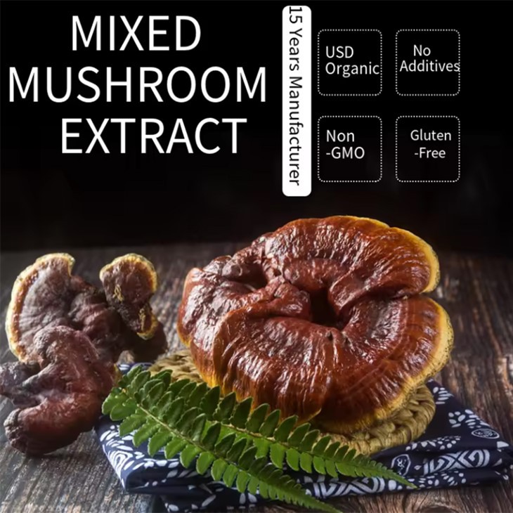 Wholesale Reishi Mushroom Powder