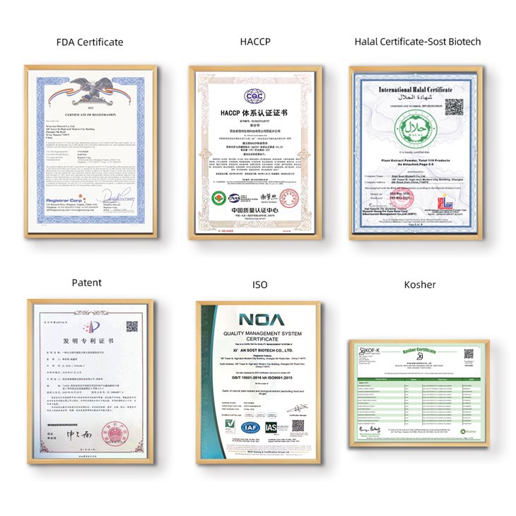 Wholesale Reishi Mushroom Powder