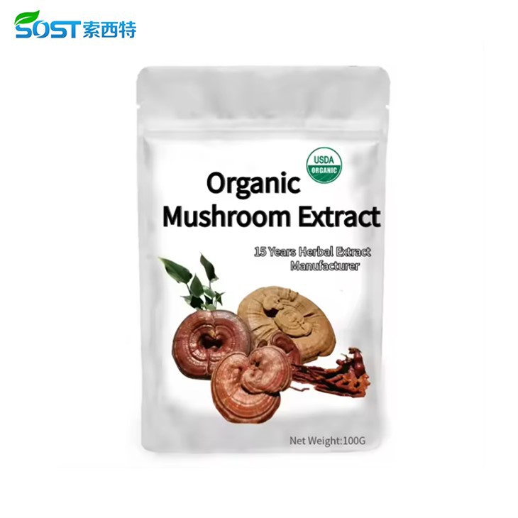 Wholesale Reishi Mushroom Powder