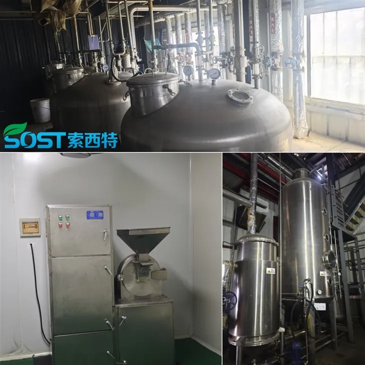 Black Garlic Extract Powder high quality