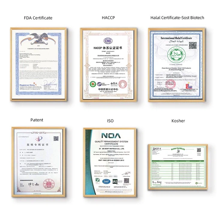 Natural Chlorophyll Powder suppliers