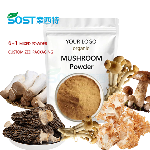 Organic Agaricus Blazei Murill Extract factory