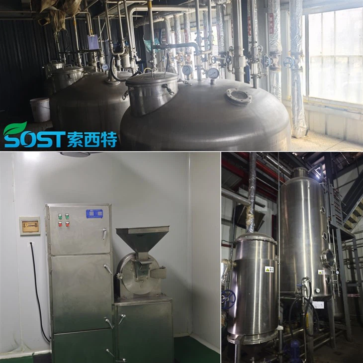 Organic Strawberry Powder high quality